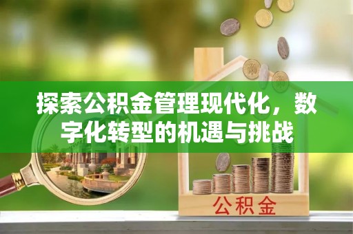 汤旺河探索公积金管理现代化，数字化转型的机遇与挑战