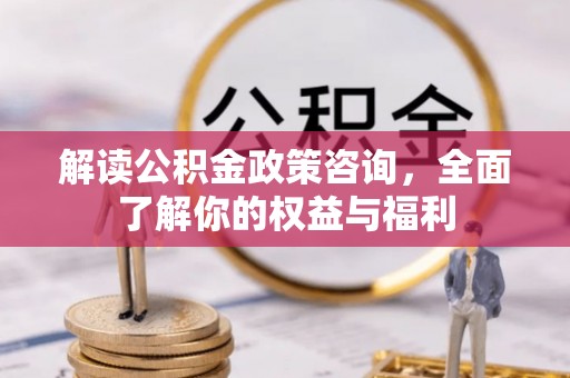 汤旺河解读公积金政策咨询，全面了解你的权益与福利