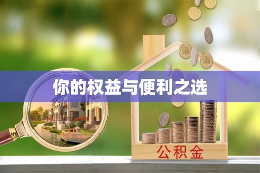 汤旺河你的权益与便利之选