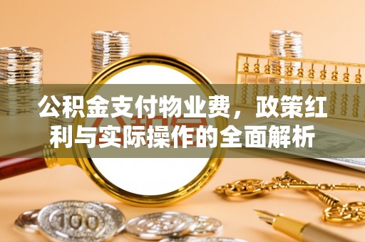 汤旺河公积金支付物业费，政策红利与实际操作的全面解析