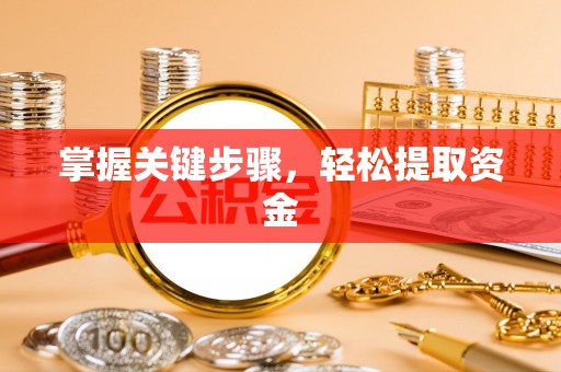 汤旺河掌握关键步骤，轻松提取资金