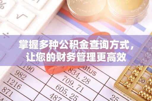 汤旺河掌握多种公积金查询方式，让您的财务管理更高效