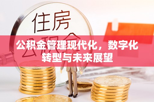 汤旺河公积金管理现代化，数字化转型与未来展望