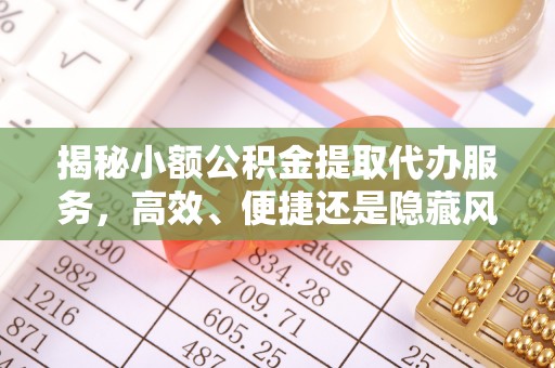 汤旺河揭秘小额公积金提取代办服务，高效、便捷还是隐藏风险？