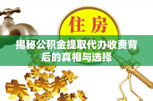 汤旺河揭秘公积金提取代办收费背后的真相与选择