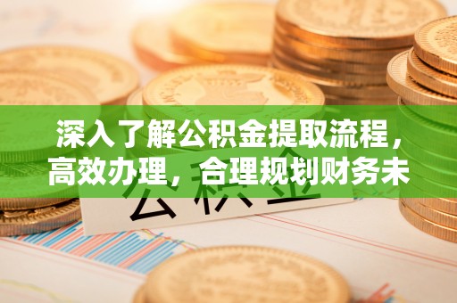 汤旺河深入了解公积金提取流程，高效办理，合理规划财务未来
