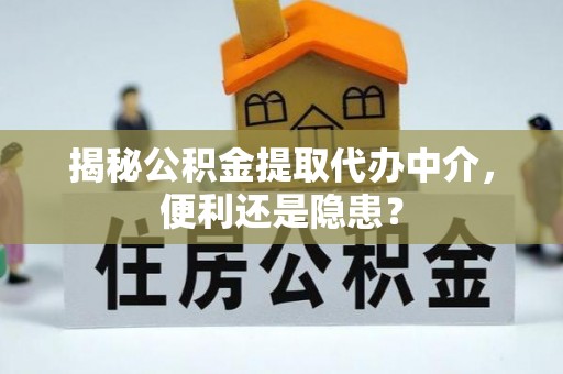 汤旺河揭秘公积金提取代办中介，便利还是隐患？