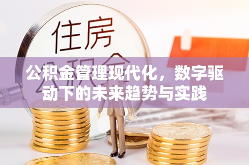 汤旺河公积金管理现代化，数字驱动下的未来趋势与实践