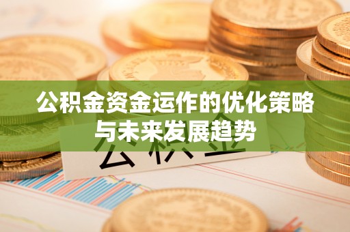 汤旺河公积金资金运作的优化策略与未来发展趋势