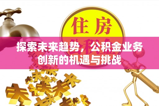 汤旺河探索未来趋势，公积金业务创新的机遇与挑战