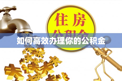 汤旺河如何高效办理你的公积金