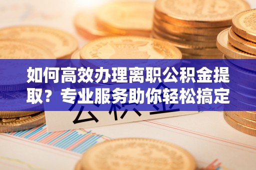 汤旺河如何高效办理离职公积金提取？专业服务助你轻松搞定