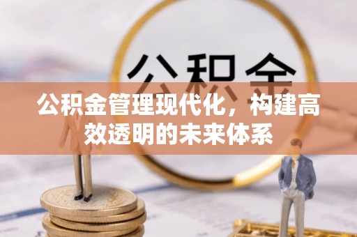 汤旺河公积金管理现代化，构建高效透明的未来体系