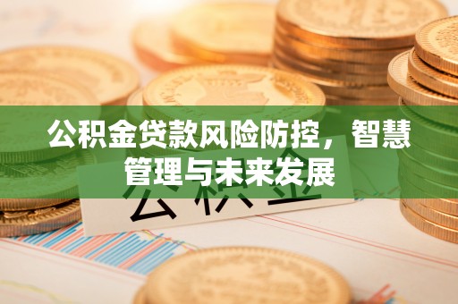 汤旺河公积金贷款风险防控，智慧管理与未来发展