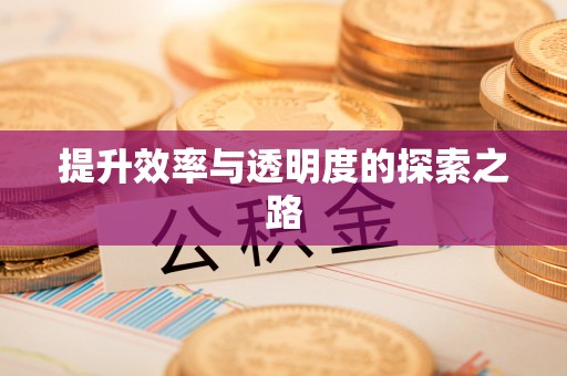 汤旺河提升效率与透明度的探索之路