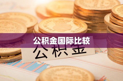 汤旺河公积金国际比较