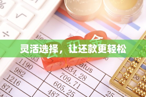 汤旺河灵活选择，让还款更轻松