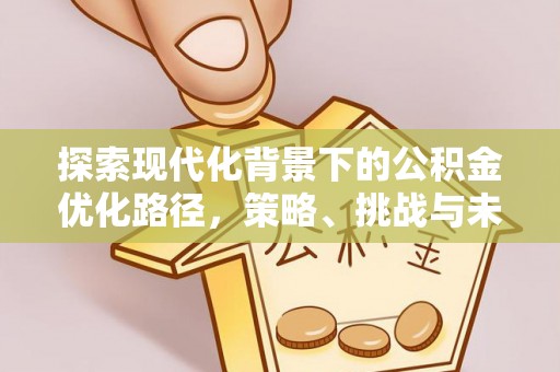 汤旺河探索现代化背景下的公积金优化路径，策略、挑战与未来展望