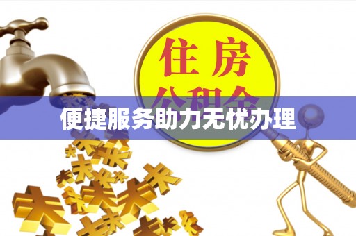 汤旺河便捷服务助力无忧办理