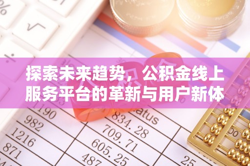 汤旺河探索未来趋势，公积金线上服务平台的革新与用户新体验