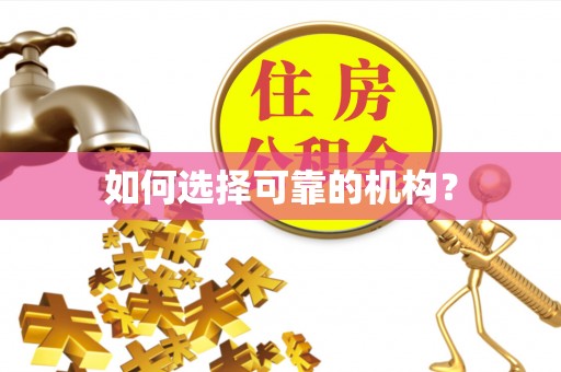 汤旺河如何选择可靠的机构？