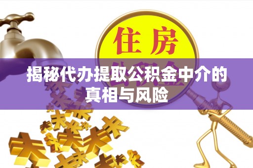 汤旺河揭秘代办提取公积金中介的真相与风险
