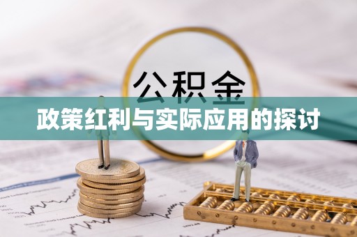 汤旺河政策红利与实际应用的探讨