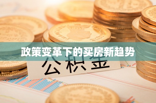 汤旺河政策变革下的买房新趋势