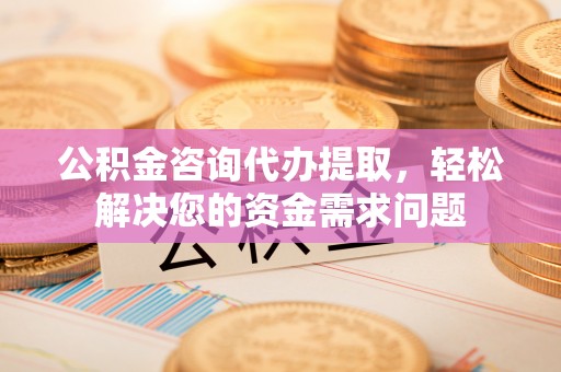 汤旺河公积金咨询代办提取，轻松解决您的资金需求问题