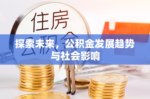 汤旺河探索未来，公积金发展趋势与社会影响