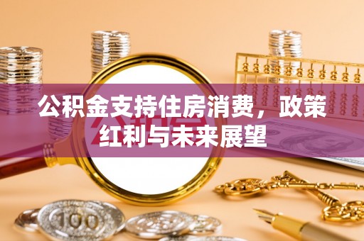 汤旺河公积金支持住房消费，政策红利与未来展望