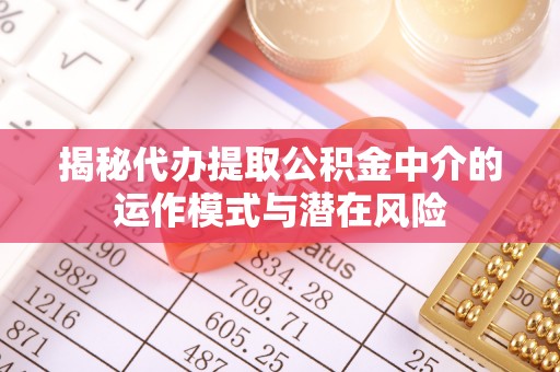 汤旺河揭秘代办提取公积金中介的运作模式与潜在风险
