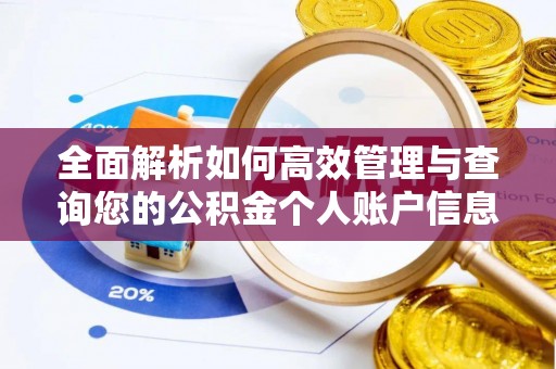 汤旺河全面解析如何高效管理与查询您的公积金个人账户信息