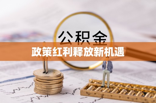 汤旺河政策红利释放新机遇