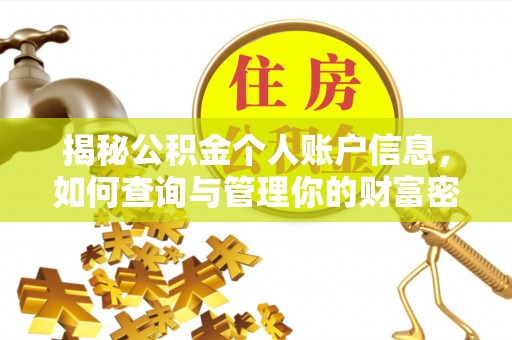 汤旺河揭秘公积金个人账户信息，如何查询与管理你的财富密码