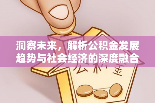 汤旺河洞察未来，解析公积金发展趋势与社会经济的深度融合