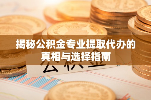 汤旺河揭秘公积金专业提取代办的真相与选择指南