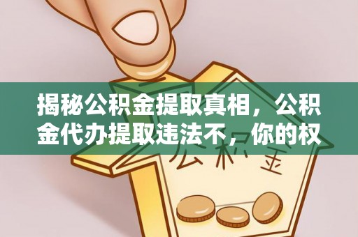 汤旺河揭秘公积金提取真相，公积金代办提取违法不，你的权益如何保障？
