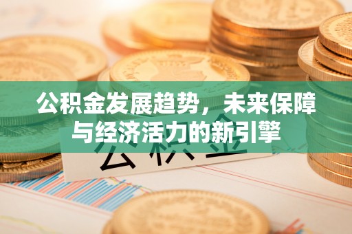 汤旺河公积金发展趋势，未来保障与经济活力的新引擎