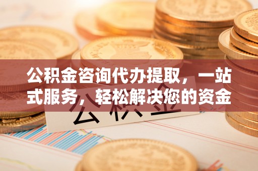 汤旺河公积金咨询代办提取，一站式服务，轻松解决您的资金需求