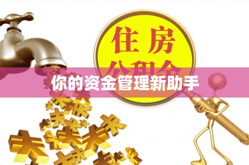 汤旺河你的资金管理新助手