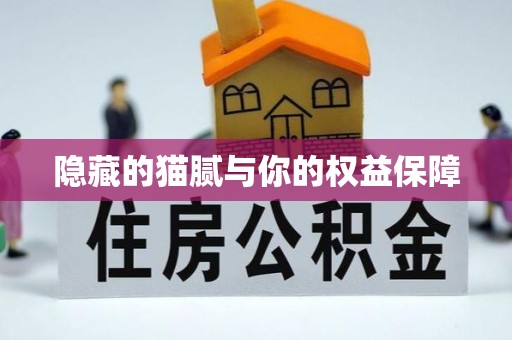汤旺河隐藏的猫腻与你的权益保障