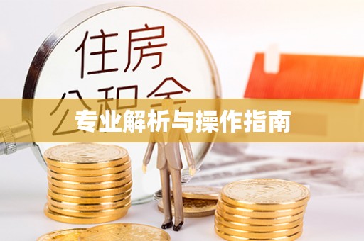 汤旺河专业解析与操作指南