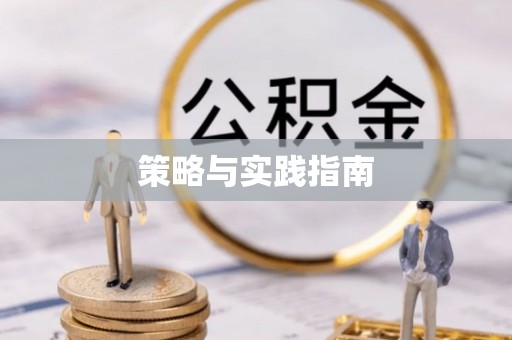 汤旺河策略与实践指南