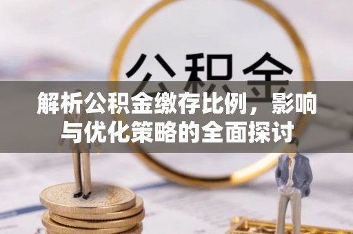 汤旺河解析公积金缴存比例，影响与优化策略的全面探讨
