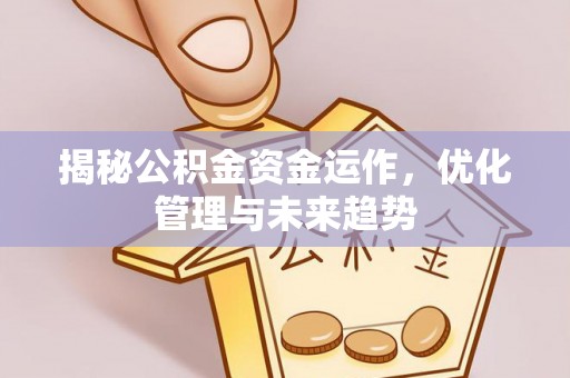 汤旺河揭秘公积金资金运作，优化管理与未来趋势