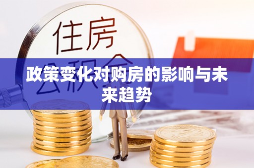 汤旺河政策变化对购房的影响与未来趋势