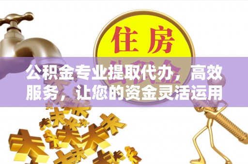 汤旺河公积金专业提取代办，高效服务，让您的资金灵活运用