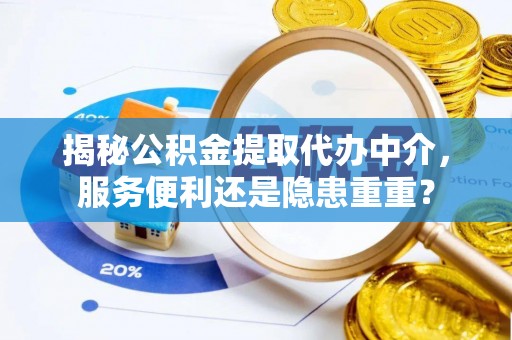 汤旺河揭秘公积金提取代办中介，服务便利还是隐患重重？