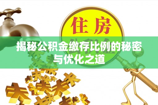 汤旺河揭秘公积金缴存比例的秘密与优化之道